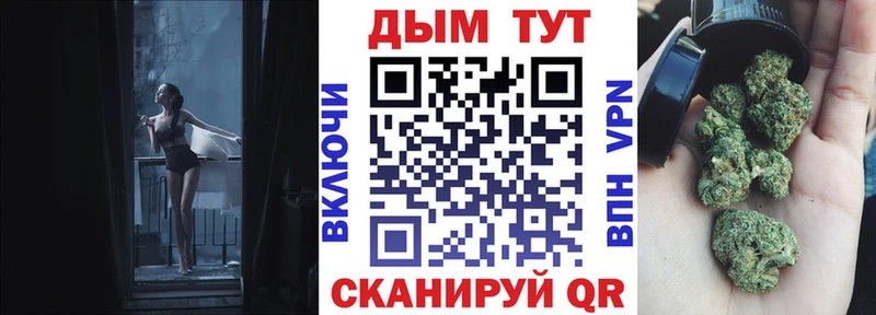 Каннабис планчик Тарко-Сале