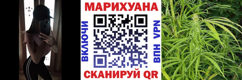 закладка  Тарко-Сале  МАРИХУАНА Ganja 